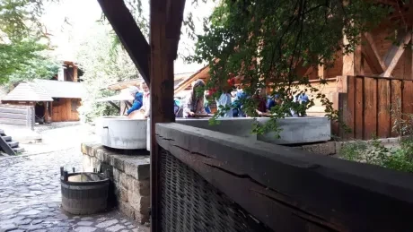 Den církevního školství_1. A_Botanicus_2