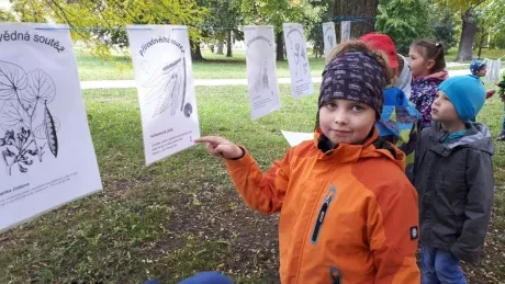 Zlatý strom_1. A, 2. A_díl 1