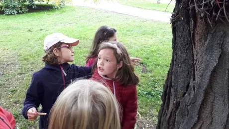 Zlatý strom_1. A, 2. A_díl 1