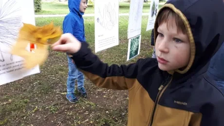 Zlatý strom_1. A, 2. A_díl 1