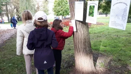 Zlatý strom_1. A, 2. A_díl 1