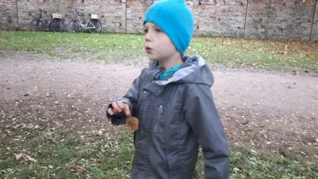 Zlatý strom_1. A, 2. A_díl 2