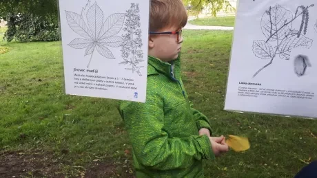 Zlatý strom_1. A, 2. A_díl 2