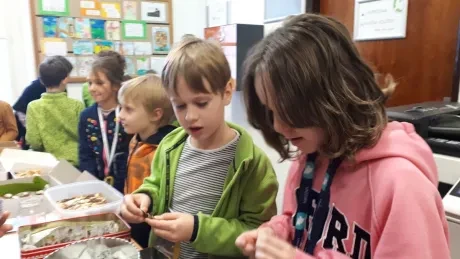 Misijní štrúdlování_3