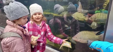 ZOO_Ozdob stromeček trochu jinak_2