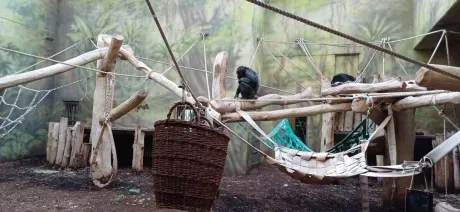 ZOO_Ozdob stromeček trochu jinak_2