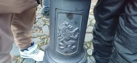 Kreativní učení_projekt_2. A_lvi a lvíčci_4