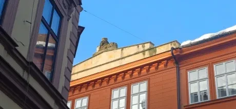 Kreativní učení_projekt_2. A_lvi a lvíčci_4