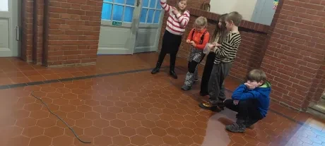 Výstava retrohraček_Muzeum VČ_3. A