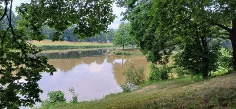 Přírodovědná procházka_2A