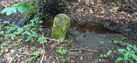 Škola v přírodě_2. A_6