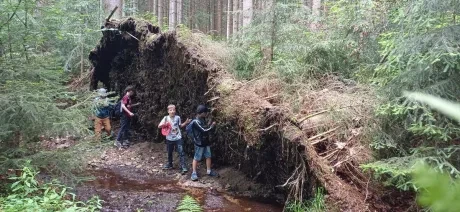 Škola v přírodě_2. A_6