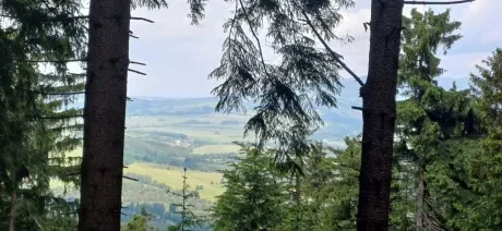 Škola v přírodě_2. A_6