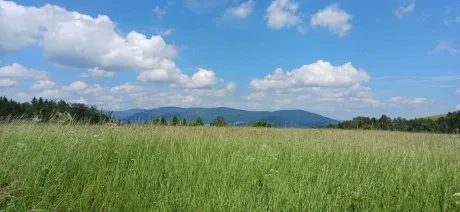 Škola v přírodě_2. A_7