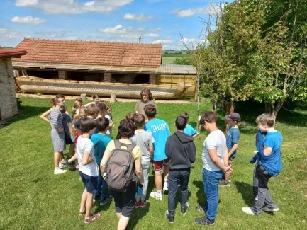 Archeopark Všestary_6. A_2
