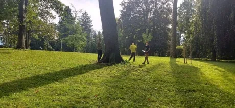 Zlatý strom_3. A