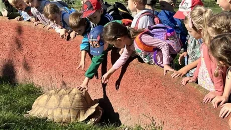 ZooPark Stěžery_1. A, 1. B