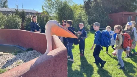 ZooPark Stěžery_1. A, 1. B