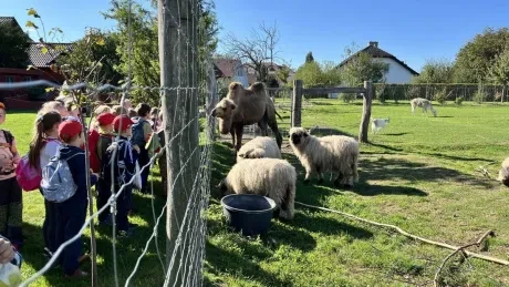 ZooPark Stěžery_1. A, 1. B