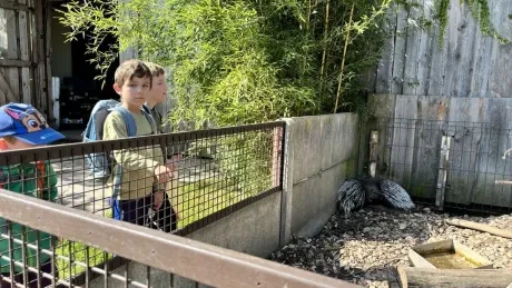 ZooPark Stěžery_1. A, 1. B