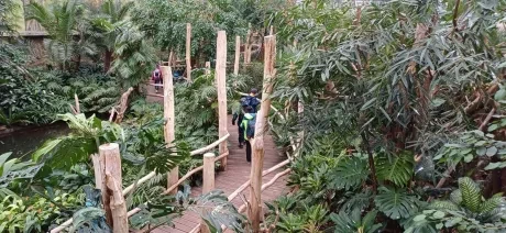 ZOO_3. A_1