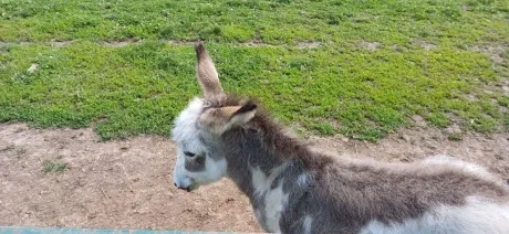Dvoudeňák Broumov_3. A_4
