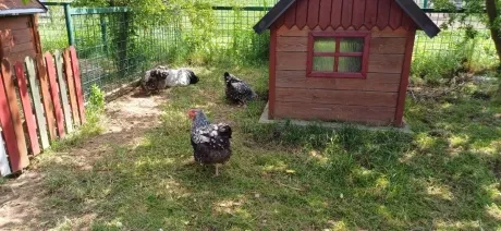 Dvoudeňák Broumov_3. A_4