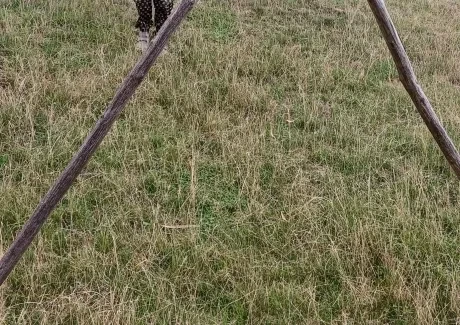 Den církevního školství_archeopark_1. A_2