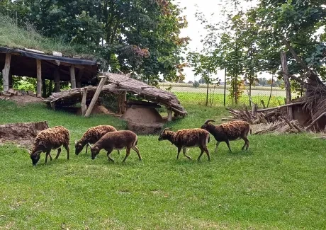 Den církevního školství_archeopark_1. A_3