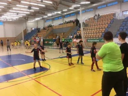 Turnaj ve vybíjené 2019