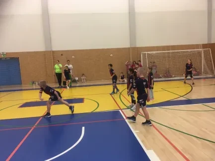 Turnaj ve vybíjené 2019