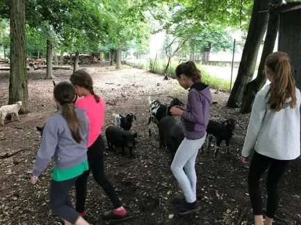 Předměřice - 5. A