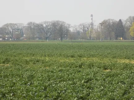 Přírodovědná procházka_4. B