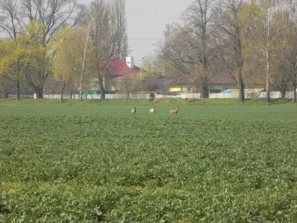 Přírodovědná procházka_4. B