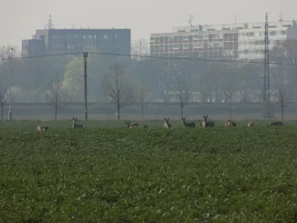 Přírodovědná procházka_4. B