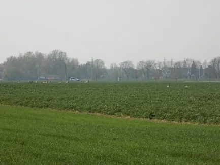 Přírodovědná procházka_4. B