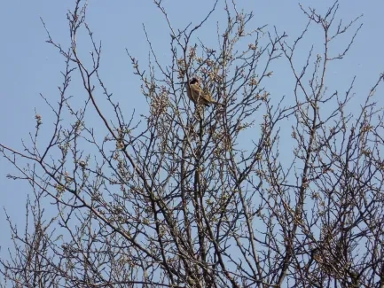 Přírodovědná procházka_4. B