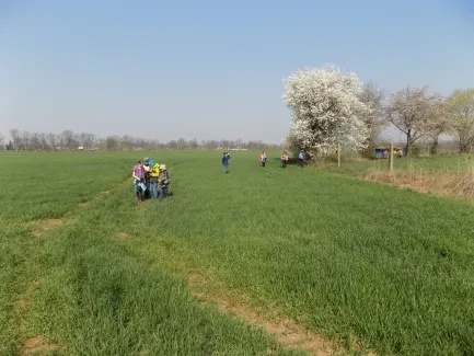 Přírodovědná procházka_4. B