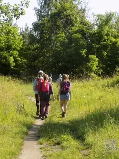 Rytířské hradiště_5. B