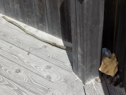 Rytířské hradiště_5. B