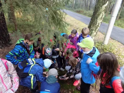 Přírodovědná procházka_4. A