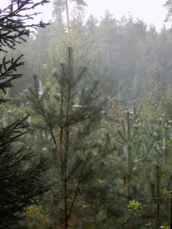 Přírodovědná procházka_4. A