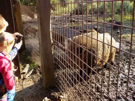 Přírodovědná procházka_4. A