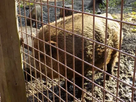 Přírodovědná procházka_4. A