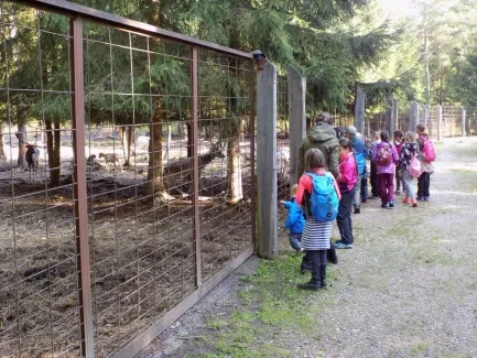 Přírodovědná procházka_4. A