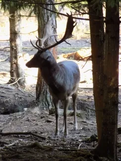 Přírodovědná procházka_4. A