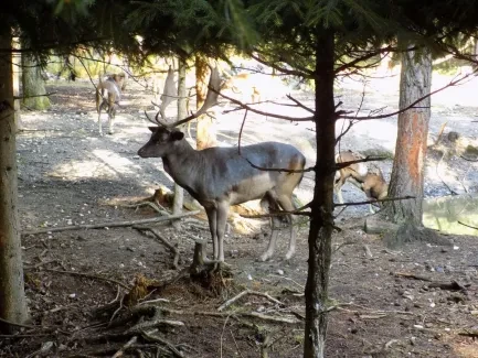 Přírodovědná procházka_4. A