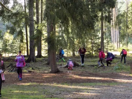 Přírodovědná procházka_4. A