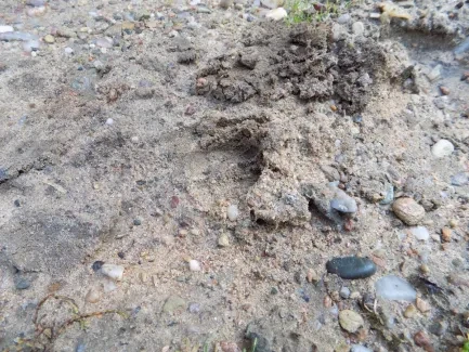 Přírodovědná procházka_4. A