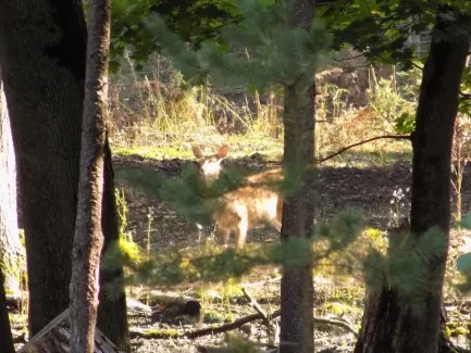 Přírodovědná procházka_4. A